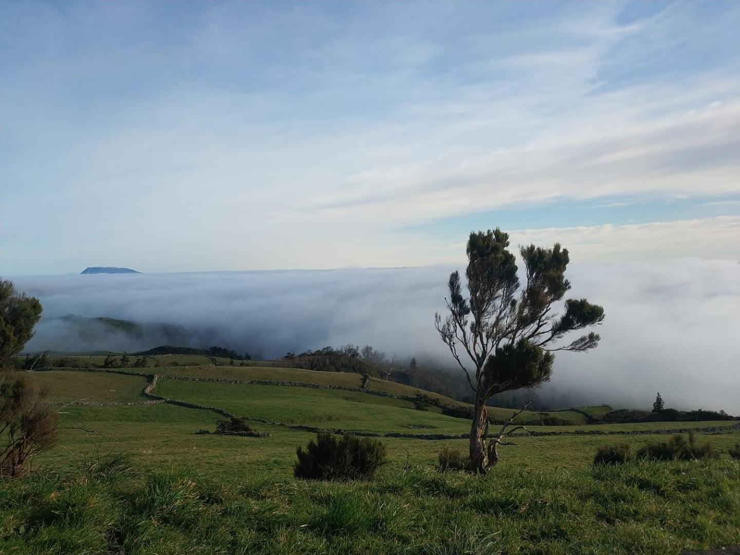 Vila Casa Da Queijaria Faja Grande Exteriér fotografie