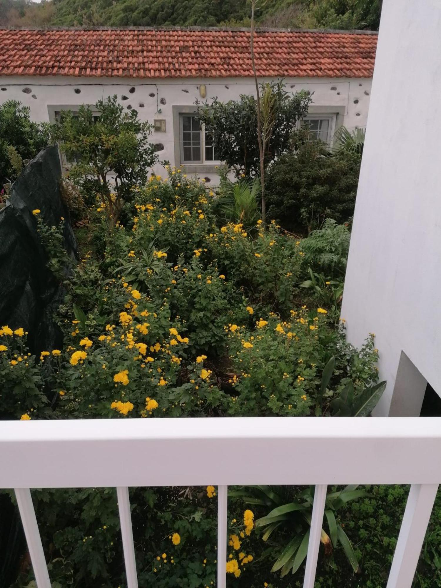 Vila Casa Da Queijaria Faja Grande Exteriér fotografie